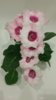 20170508_100422.jpg