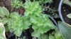 20170509_094945.jpg