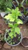 20170509_094758.jpg