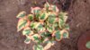 20170509_094750.jpg