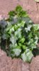 20170509_094721.jpg