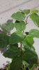 20170509_094617.jpg