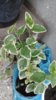 20170509_094333.jpg