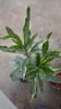 20170509_094254.jpg