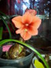 20170512_052919.jpg