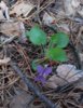 20170513_113727.jpg