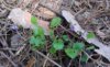 20170513_113737.jpg