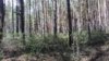 20170513_114301.jpg