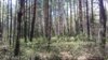 20170513_114305.jpg