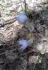 20170513_115306.jpg