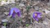 20170513_115445.jpg