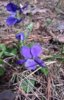 20170513_123104.jpg