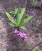 20170513_112634.jpg