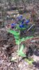20170513_114249.jpg
