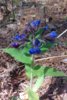 20170513_114253.jpg