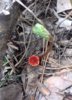 20170513_121554.jpg