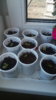 20170514_142809.jpg