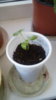 20170514_142817.jpg