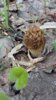 20170514_103250.jpg