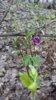 20170514_103949.jpg