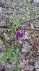 20170514_103955.jpg