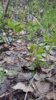 20170514_104028.jpg