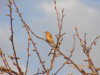 DSCN0636.JPG