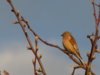 DSCN0637.JPG