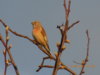 DSCN0638.JPG