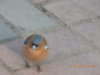 DSCN0576.JPG