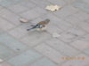 DSCN0577.JPG