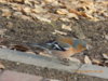 DSCN0578.JPG
