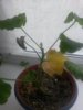 20170515_133438.jpg