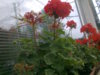 Фото4090.jpg