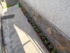 DSCN1254.JPG
