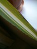 DSC_2404.jpg