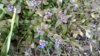 20170517_175941.jpg