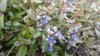 20170517_175932.jpg