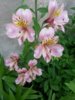 IMG-20170519-WA0011.jpg