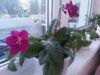20170520_193138.jpg