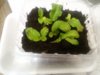 20170520_194859.jpg