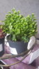 20170521_102930.jpg