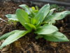 DSCN1260.JPG