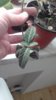 20170524_122612.jpg