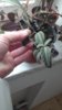 20170524_122552.jpg