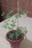 20170525_214132-1.jpg