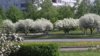 20170526_122217.jpg