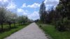20170526_123913.jpg