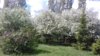 20170526_124323.jpg