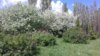 20170526_124433.jpg